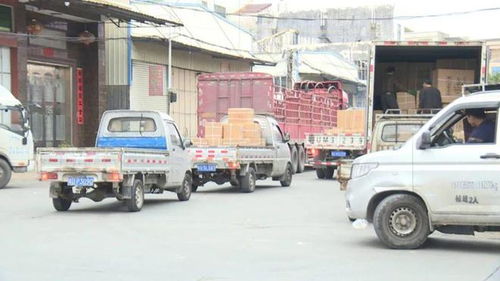 馬路變貨運場 占道卸貨的隱患與道路運輸安全之困