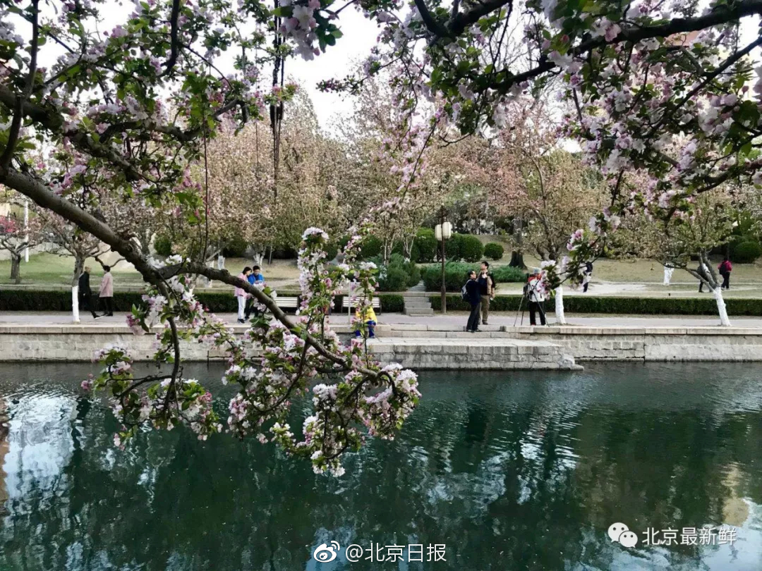 連場當選，索博當選與阿森納一役利物浦隊內最佳球員